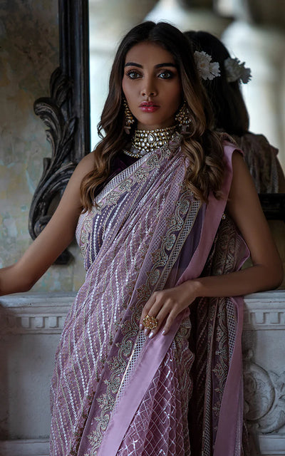 VELVET BLOUSE AND EMBROIDERED SAREE