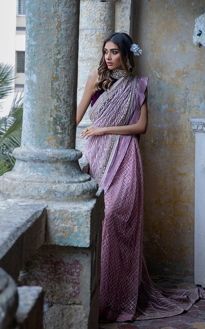 VELVET BLOUSE AND EMBROIDERED SAREE