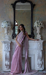 VELVET BLOUSE AND EMBROIDERED SAREE